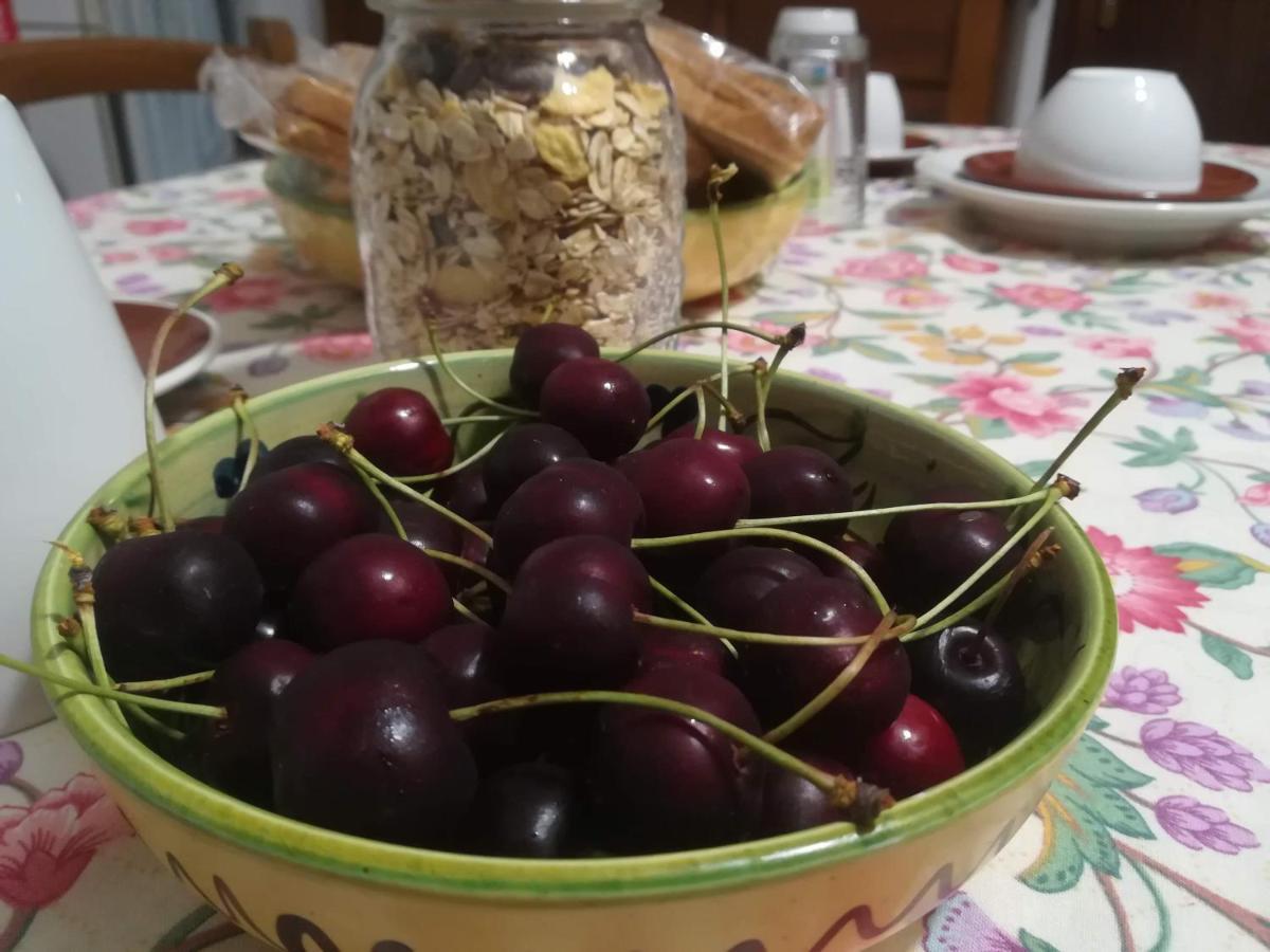 A Casa Di Carla B&B San Raffaele Cimena Zewnętrze zdjęcie